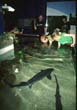 SilkeborgAquarium