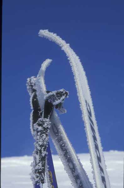 Norwegen 113